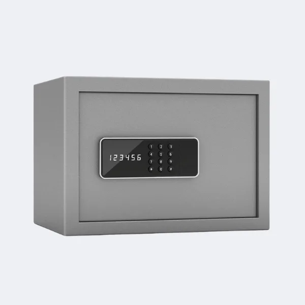 Digital Electronic Safe